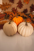 Decorative Seasonal Harvest Pumpkin Home Decor Set